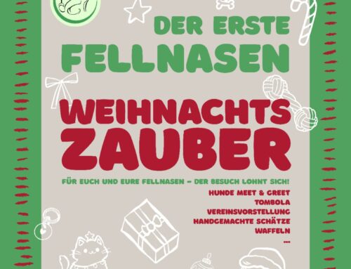 Fellnasen Weihnachtszauber am 21.11.2026